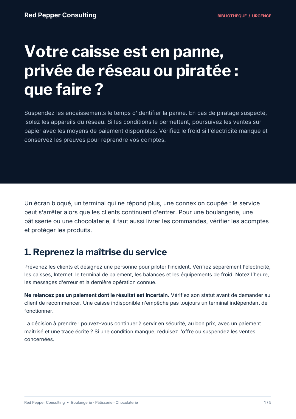 Aperçu du guide Red Pepper Consulting : votre caisse est en panne, privée de réseau ou piratée